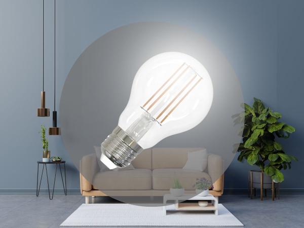 LED dimmbare Filament-Leuchtmittel 7,5W - A60 / E27 / 4000K - ZLF522D 1