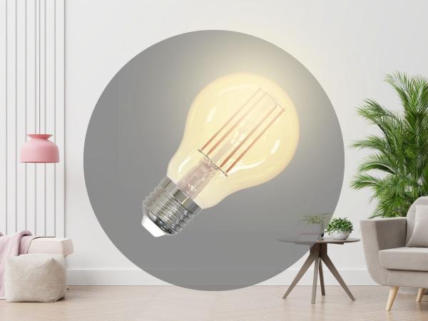 LED dimmbare Filament-Leuchtmittel 12W - A60 / E27 / 2000K - ZLF513DV 1