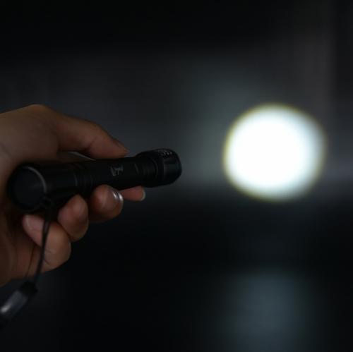 LED Handleuchte - FL02